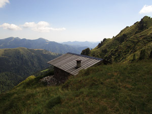 Arrivati