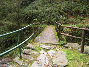 Ponticello sul torrente della Val di Greno