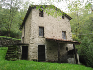 Una grande casa nel bosco