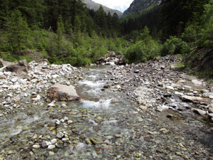 Il Torrente Remulo