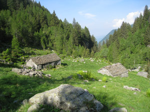 Alpeggio poco dopo aver superato il Torrente Ratti