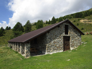 Lo stallone della Malga Prisigai