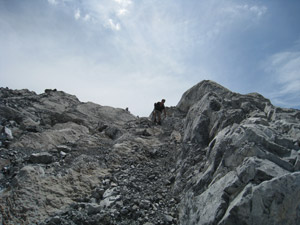 Rocce e pietre