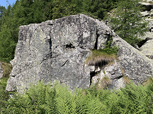 Una roccia ... con barba e baffi