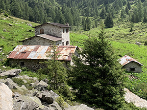 La Malga Macesso di Sotto