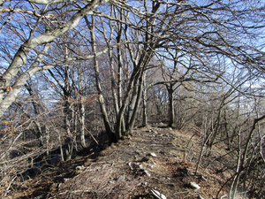 Il crinale della Colma Piana