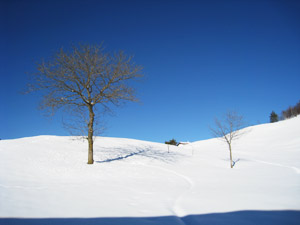 Una veduta invernale dei Piani di Nava