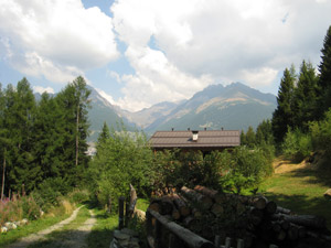 Apertura nel bosco con scorcio panoramico