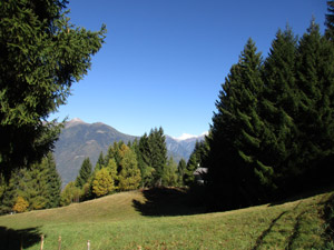 Prati a Campelli ...