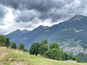 Panorama