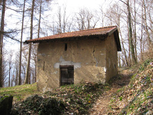 Baitello nel bosco
