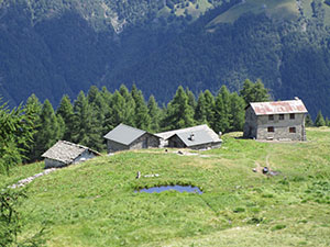 Vista sulle baite dell'Alpe Püstarèsc