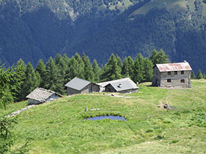 Vista sulle baite dell'Alpe Pstarsc