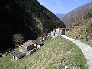 Attraversato l'alpeggio proseguiamo