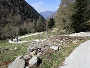Tornanti verso l'Alpe Caprecolo