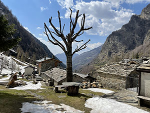 Uno scorcio dell'alpeggio