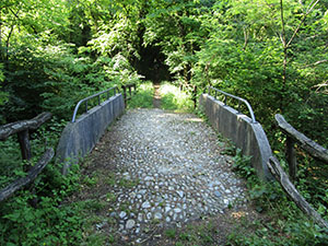 Il ponte sul Torrente Gandaloglio