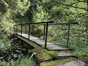 Ponticello sul torrente