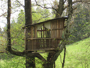 casa sull`albero