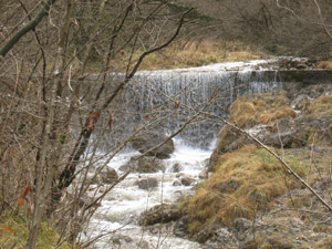 361 - Cascatella del Torrente Vandeno