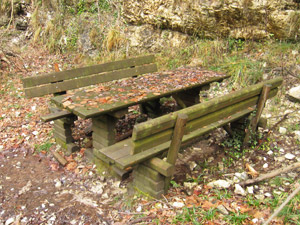 361 - Tavolo e panche