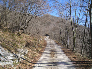 360 - Sulla stradina da Zanano
