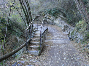 Il ponticello sul torrente della Val Gatn