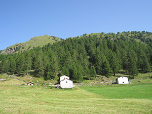 Baite e pascoli