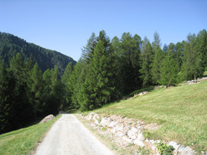 Lungo la sterrata