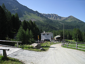 In localit Regiul