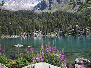 Il Lago Saoseo
