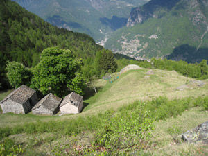 Alpe Pesceda