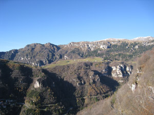 Panorama
