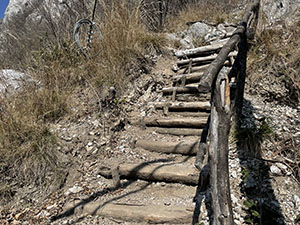 Scala