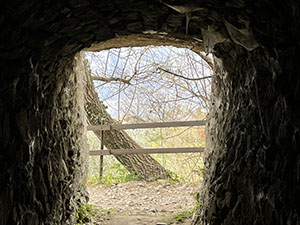 Tunnel per le cantine