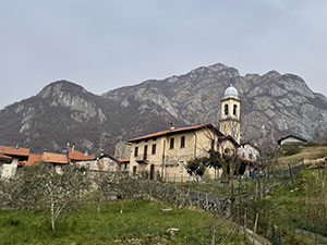 Rongio