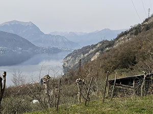 Panorama da Saioli
