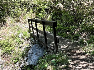 Un ponticello