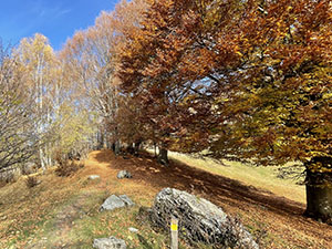 Autunno