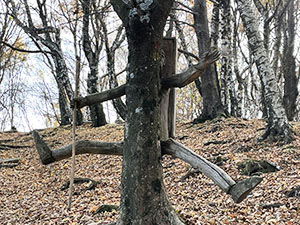 "Scapaa de nocc"