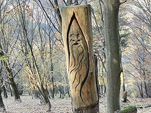 "Spirito del bosco"