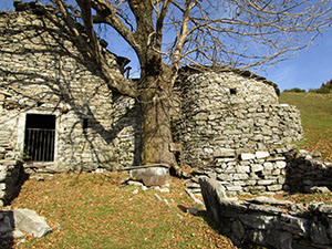 Cisterna e nevera alla Colma di Binate