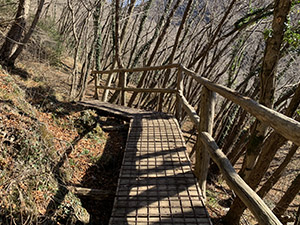 Passerella