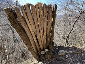 Ventaglio