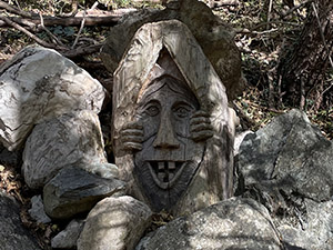 Volto tra le rocce