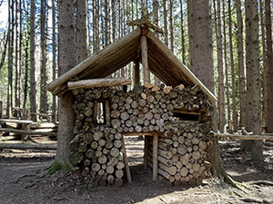 Casetta di legno