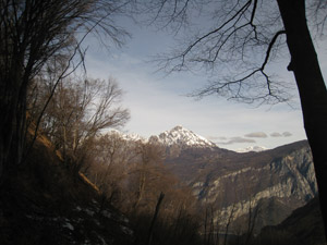 Panorama sulle Grigne lungo la Costa Avvocato