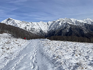 Usciti dal bosco continuiamo attorniati da prati