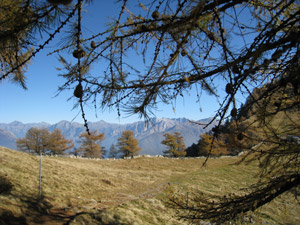 Alpe Arcogno