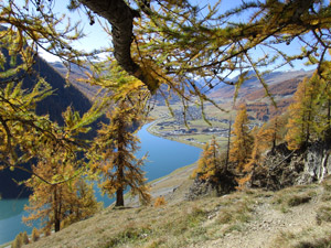 tra gli alberi sovente si intravede il lago ...